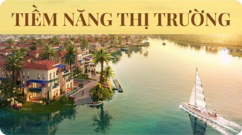Tiềm năng thị trường